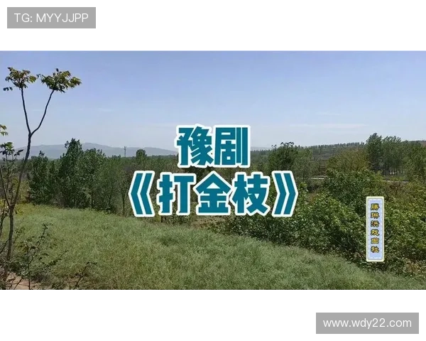 闊╁獟鍔涜崘鐢冲彴榫欐墽鏁欏浗瓒筹細鏇捐浼婁竾鍑昏触锛岃兘鍚︽墦鐮磋川鐤戯紵